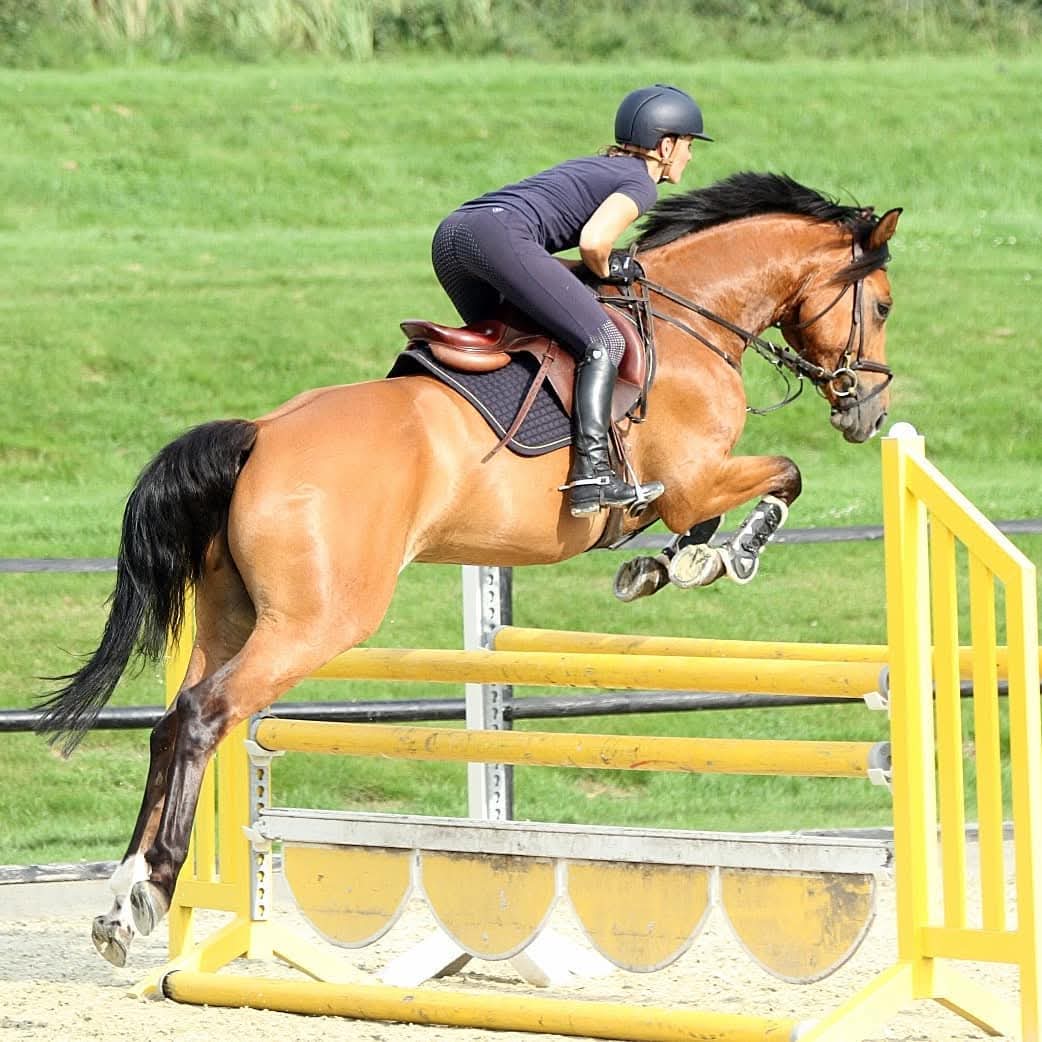 Cavaletti- und Springlehrgang für Reiter-Pferd-Paare aller Sparten